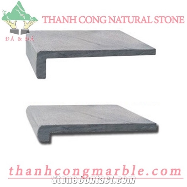 Bluestone Pool Coping Paver 
