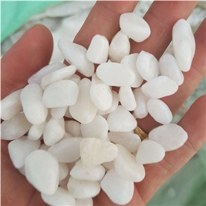 Popular Snow White Pebble Stone for Garden