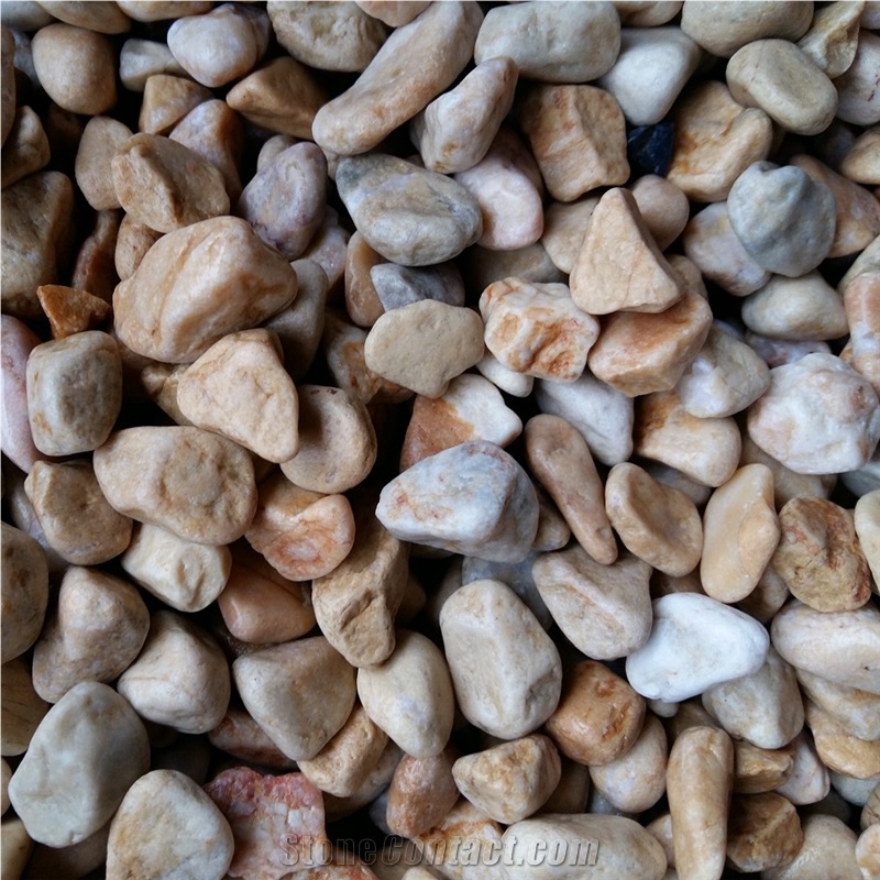 Top Quality Yellow Color Pebble Stone