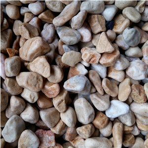 Top Quality Yellow Color Pebble Stone