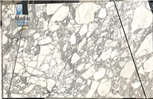 Arabescato Vagli Marble Slabs