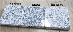 China G623 Granite Monument
