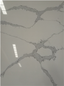 Quartz Wall Covering Slab White Calacatta Veins