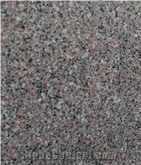 Queen Rose Granite Slabs