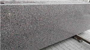 Queen Rose Granite Slabs