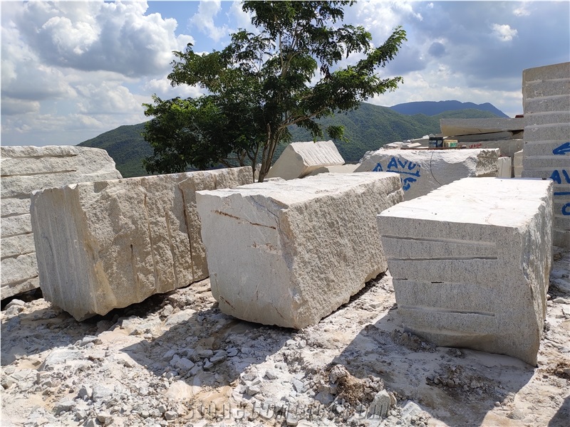 Moon White Granite Blocks & Slabs
