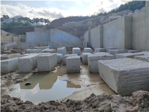 Moon White Granite Blocks & Slabs