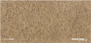 Oyster Quartz Slab Vicostone Bq9330