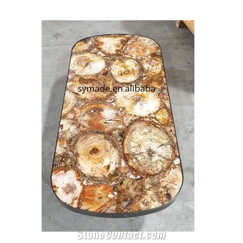 Petrified Wood Agatestone Slab Countertops Design