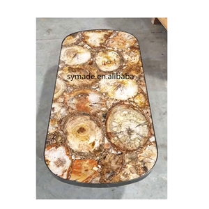 Petrified Wood Agatestone Slab Countertops Design