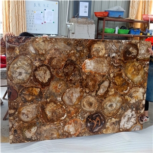 Petrified Wood Agatestone Slab Countertops Design