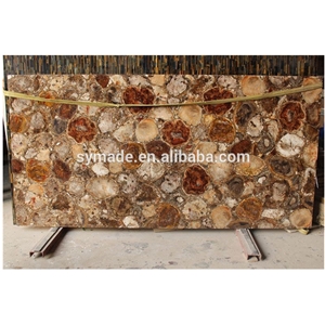 Petrified Wood Agatestone Slab Countertops Design