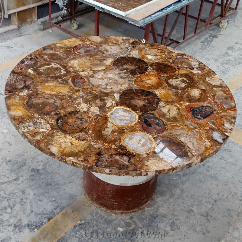 Petrified Wood Agatestone Slab Countertops Design