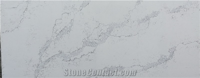 Carrara Vicenza Quartz Slabs