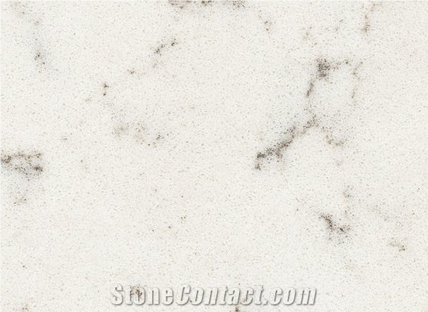Sea Shell Quartz Stone Slabs