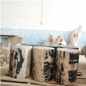 Fossil Stone Ancient Petrified Wood Table