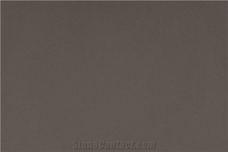 Ash Gray Quartz Slab