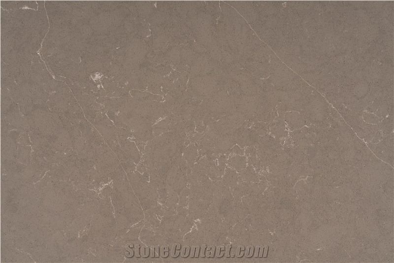 Calacatta Mystery Gray Quartz Slab