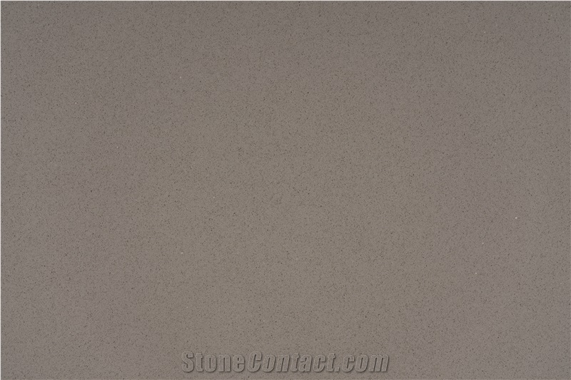 Classic Gray Quartz Slab