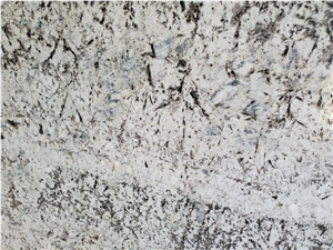 Terra Azul Granite Slabs/ Blue Flower Granite Slabs