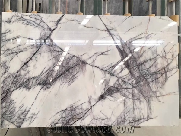 Milas Lilac Dark Marble Slab Glossy Polished Tile