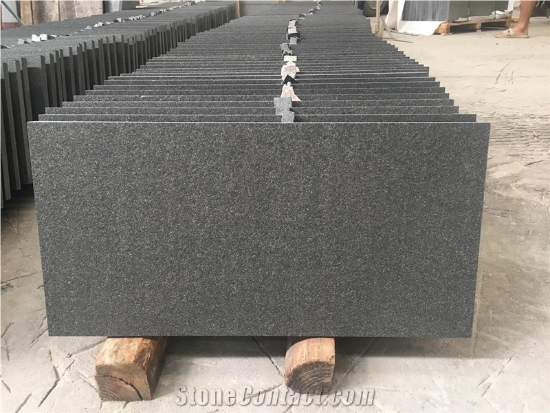 Top Flamed New Shanxi Black Granite Tile Floor / Wall