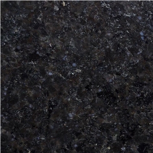 Black Pearl Granite Slab, India Nero Stone Flooring Tile