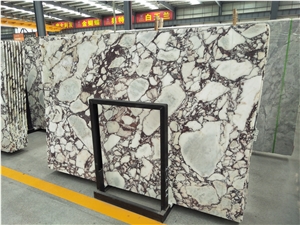 Breccia Rose Calacatta Viola Lilac Marble Slab