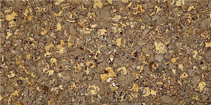 Brown Coral Seashell Khaki Agate Stone Slab,Gemstone
