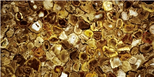 Brown Coral Seashell Khaki Agate Stone Slab,Gemstone