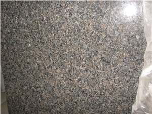 Caledonia Brown Granite Slab Kitchen Prefab Design
