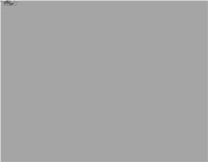 Flamed G602 Grey Floor Granite Tile Outside Paving