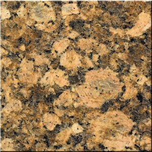Giallo Venzino Fiorito Granite Slab, Brazil Gold Kitchentop Prefab Design