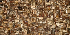 Petrified Wood Natural Agate Stone Brown Semiprecious