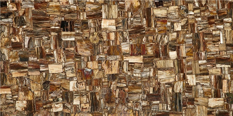 Petrified Wood Natural Brown Agate Stone Floor Panel