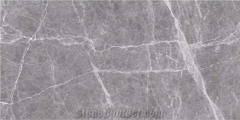 China Granite Silver Gray for Project