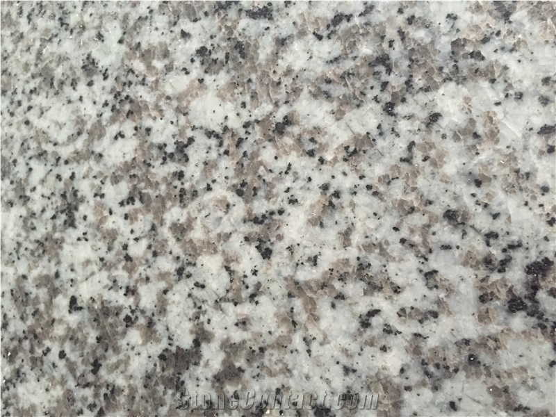 G439 Big White Flower for Floor Tiles