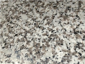 G439 Big White Flower for Floor Tiles