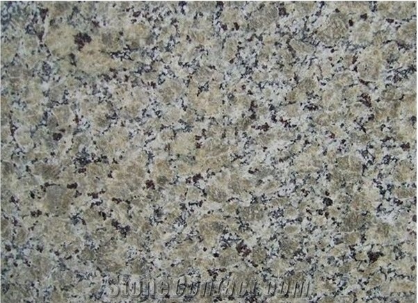 Beige Butterfly Granite Polished Tiles & Slabs