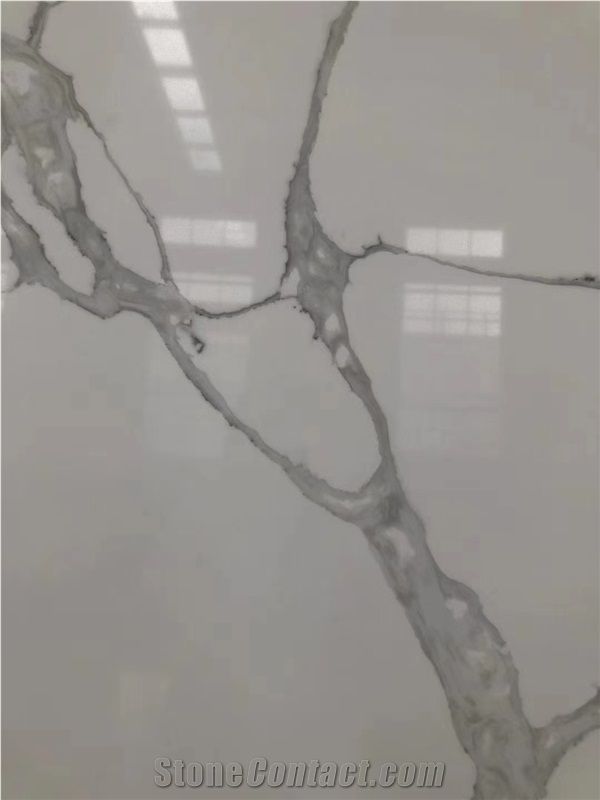 Calacatta White Quartz Slabs Stone Polished