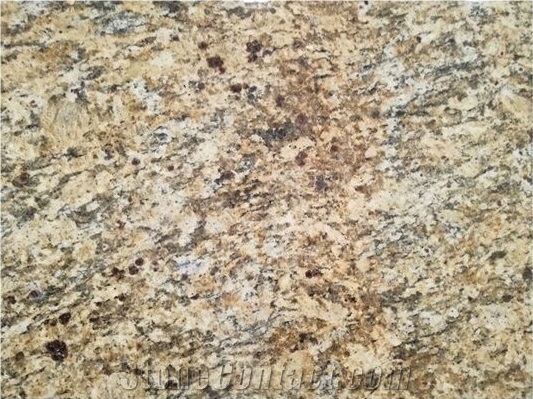 Giallo Santa Cecilia Dark Granite Polished Slabs