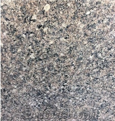 Mary Gold Brown Granite Polished Countertops