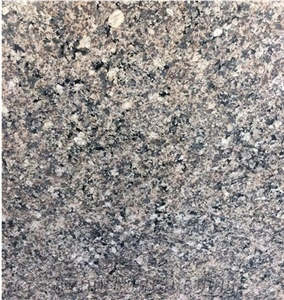Mary Gold Brown Granite Polished Countertops