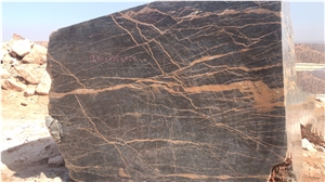 Port Saint Laurent Morocco Marble Raw Blocks