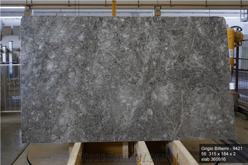 Grigio Billiemi Marble Slabs