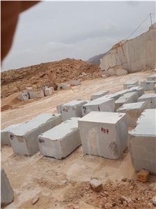 Dolphin Blue Marble Blocks