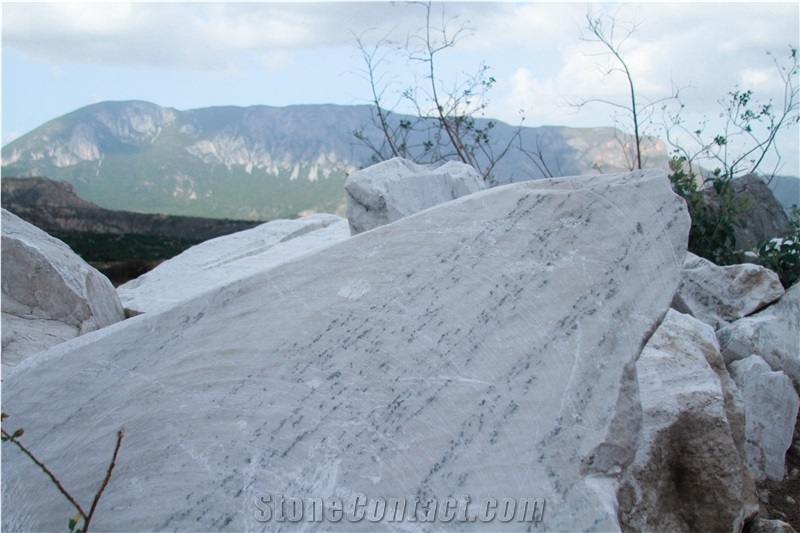 White/Gray Bengal Alabaster Blocks, Alabaster Raw Boulders