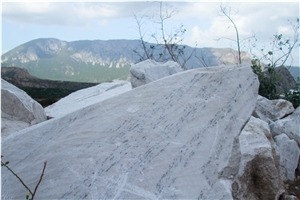 White/Gray Bengal Alabaster Blocks, Alabaster Raw Boulders