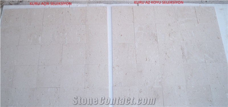 Shellstone Tiles, Myra Limestone Tiles