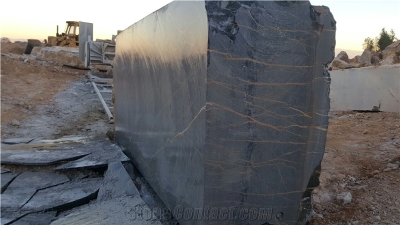 Nero Saint Laurent Black Gold Marble Blocks